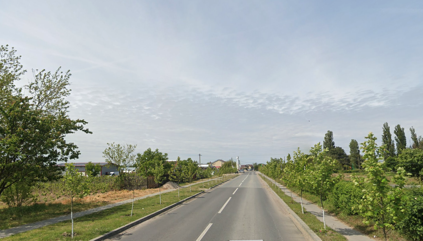Dabuleni teren comercial - stradal DN